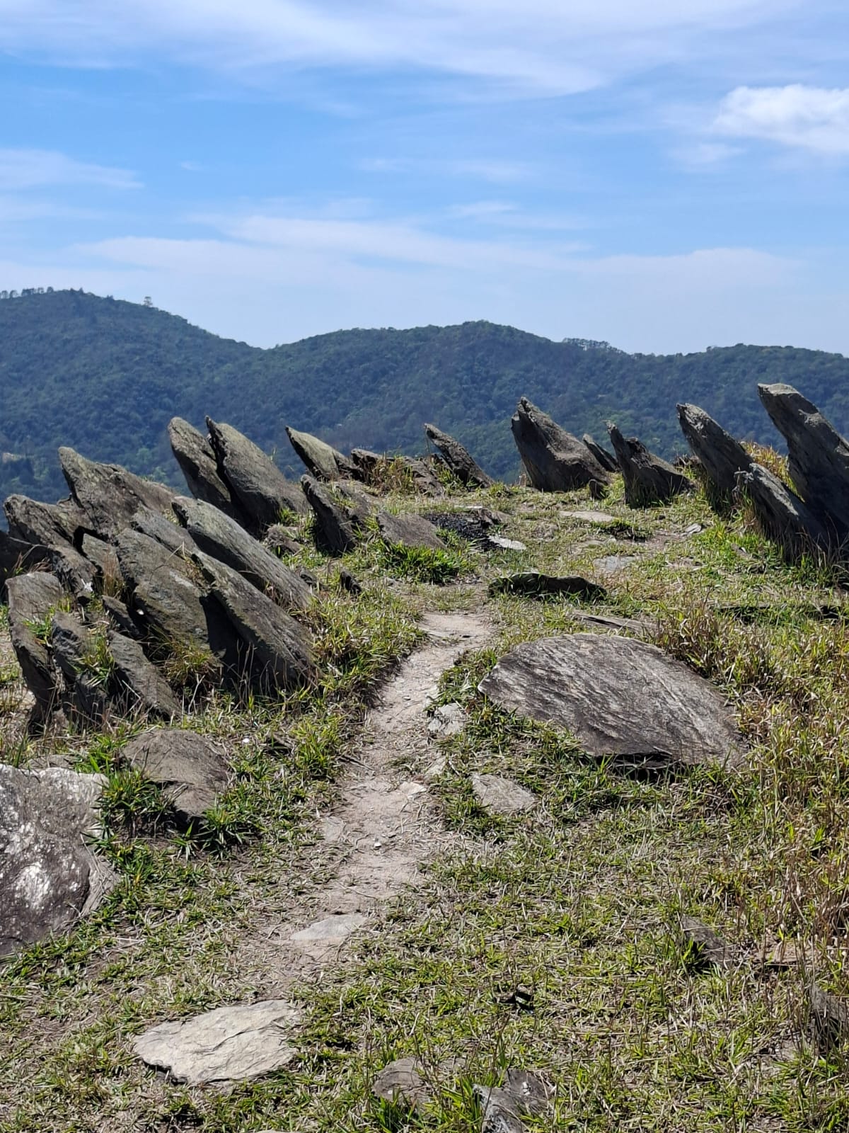 Pesquisa de campo — registro 3